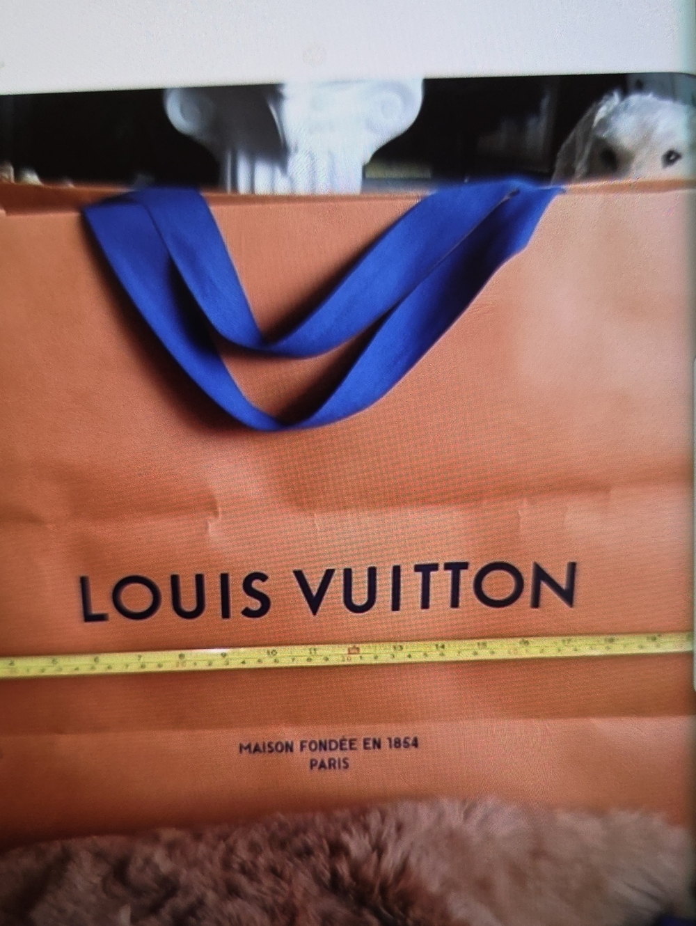Men Bags Subcategory Identification
